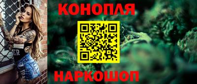 apvp Кингисепп