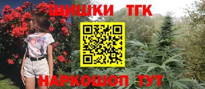 apvp Кингисепп