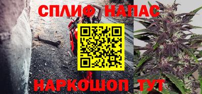 apvp Кингисепп