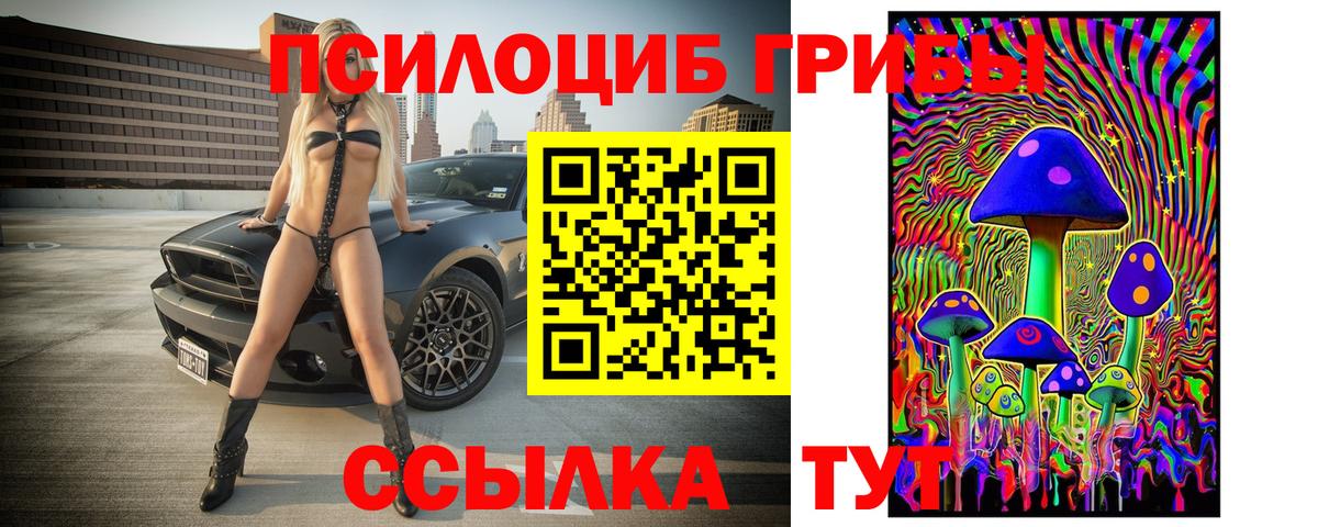 Галлюциногенные грибы Psilocybine cubensis Избербаш