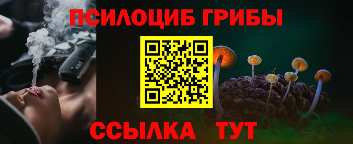 Избербаш  Галлюциногенные грибы Psilocybine cubensis  Вход с VPN 